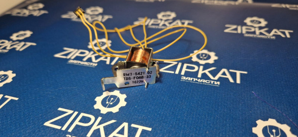 WhatsApp Image 2024-12-13 at 19.19.00