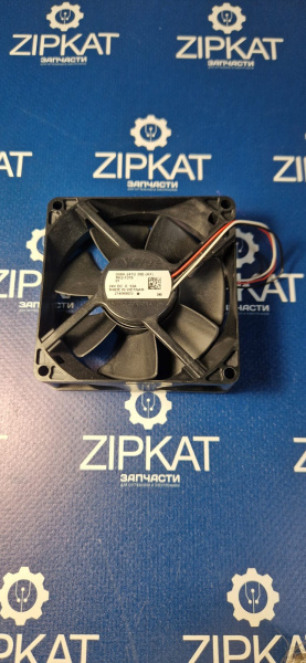 WhatsApp Image 2024-12-13 at 19.22.35