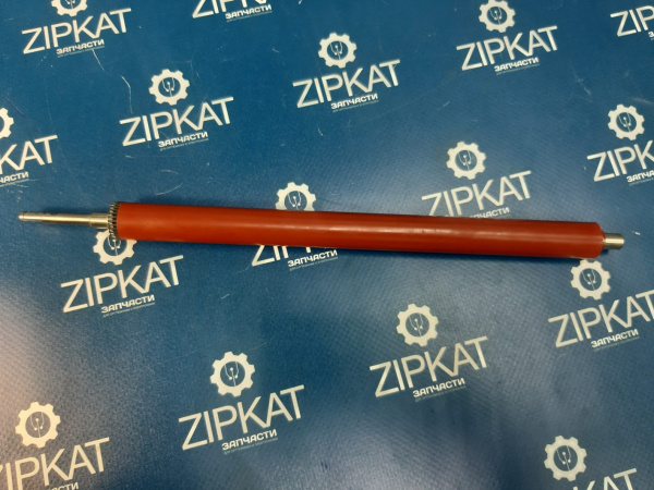 WhatsApp Image 2025-05-06 at 11.24.47 (1)