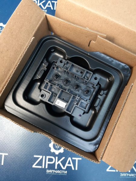 Печатающую головку на принтер Epson L210 (1)