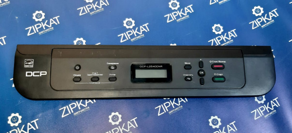 WhatsApp Image 2025-01-28 at 14.12.26 (1)