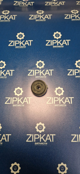 WhatsApp Image 2024-12-13 at 19.19.01