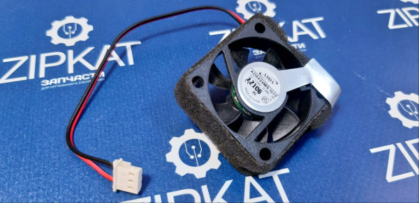 WhatsApp Image 2025-01-22 at 11.57.47