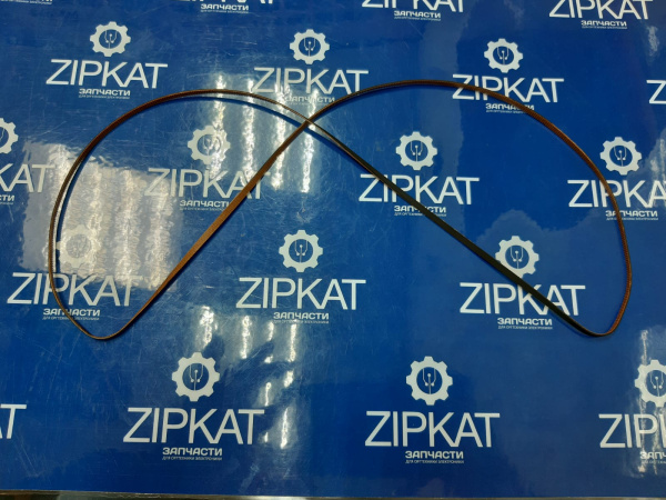 WhatsApp Image 2025-11-11 at 19.08.20