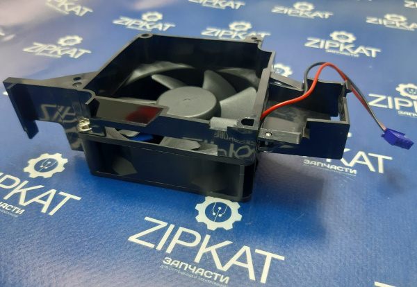 WhatsApp Image 2025-03-12 at 12.01.54 (1)