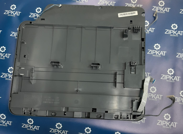 WhatsApp Image 2025-02-26 at 12.10.33