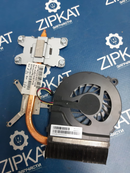 WhatsApp Image 2025-08-06 at 15.52.16