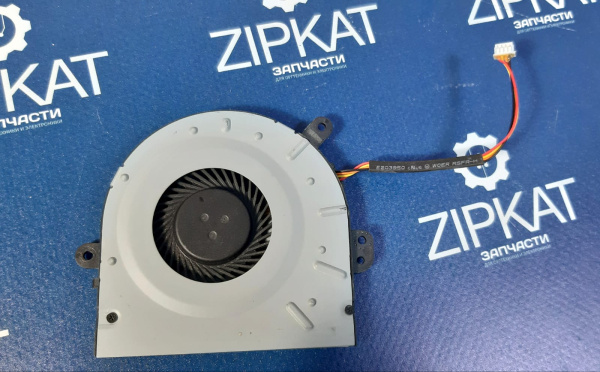 WhatsApp Image 2025-02-05 at 16.31.48